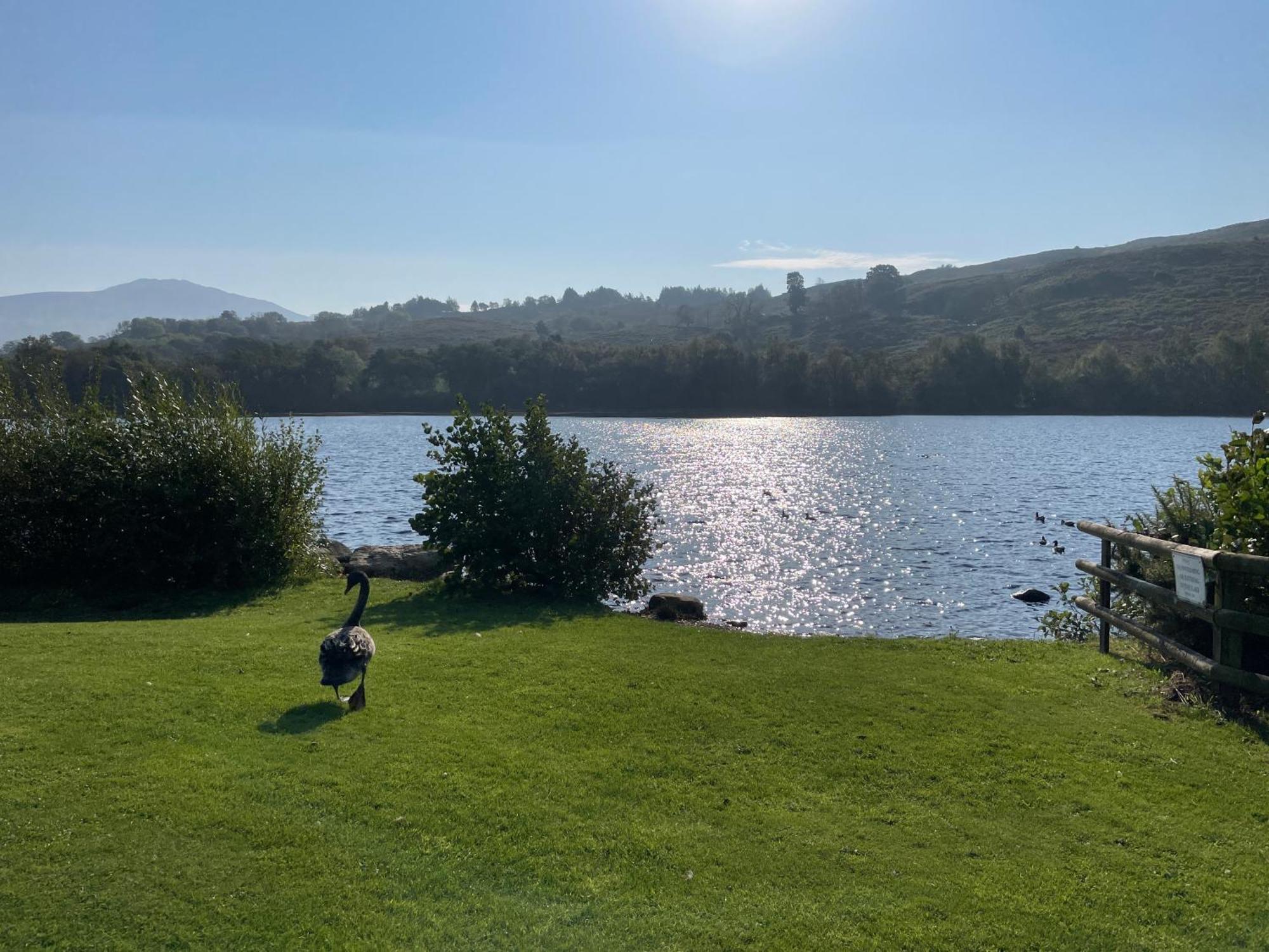 הוילה Cwm-y-glo No 61 Brynteg Country & Leisure Retreat מראה חיצוני תמונה